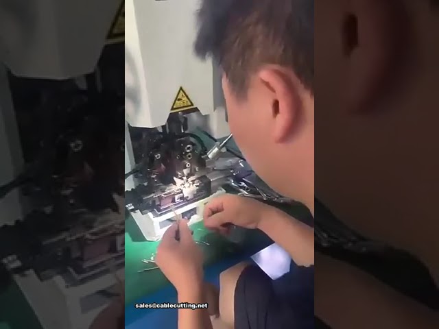 Wire Cut Strip Crimp Machine