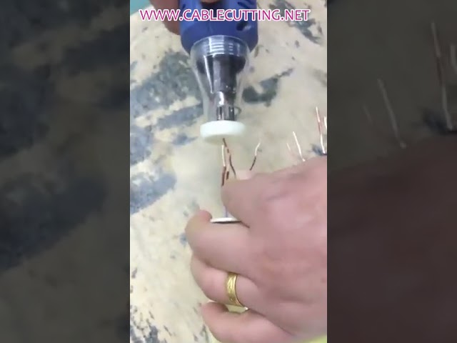 Hand-Held Enamel Wire Stripping Machine for Industrial Automation