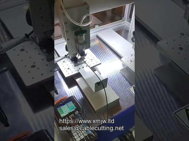 AB-limdispenser 3-akset eller 4-akset bordmaskin tilpasset